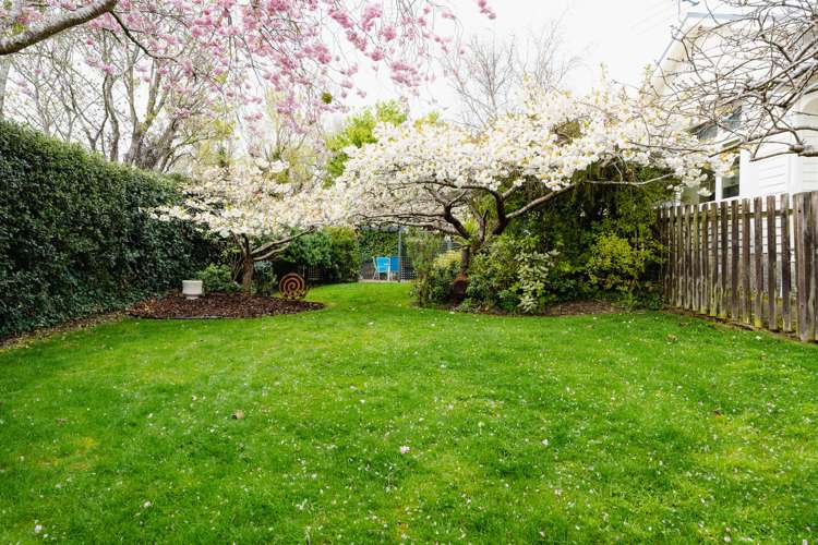 11 Arawa Street Tainui_23