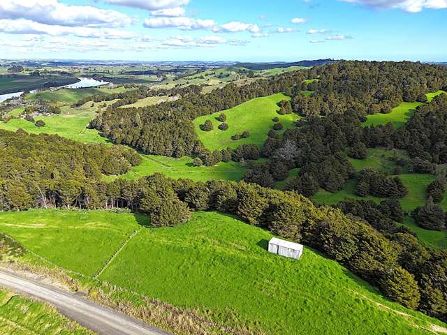 Ounuwhao Road Dargaville_3