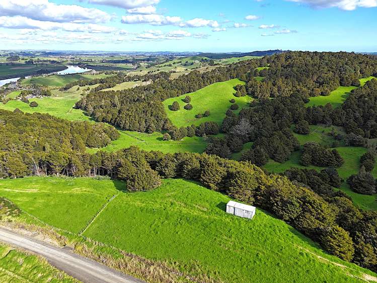 Ounuwhao Road Dargaville Surrounds_3