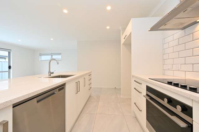 4 Manganui Place Te Awa_1