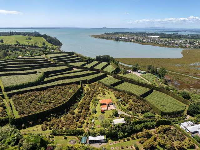 11B Stokes Road Katikati_3
