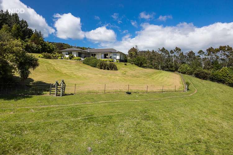 847 Mount Cargill Road Waitati_3