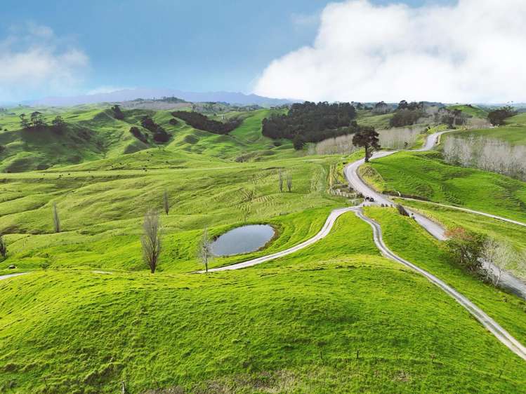 1858 Pukehuia Road Dargaville_7