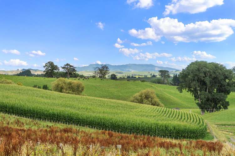 Lot Lot 4 Tapapa Road West Tirau_6