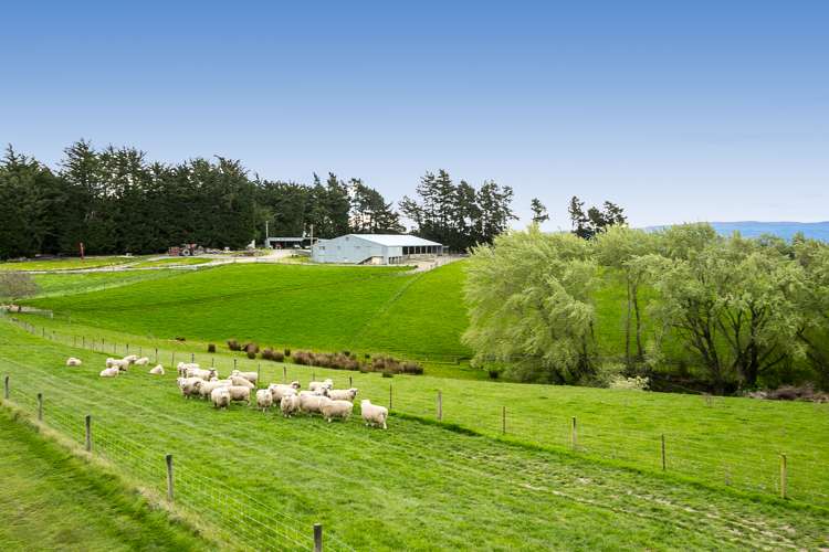 1152 Waitahuna West Road Lawrence_9