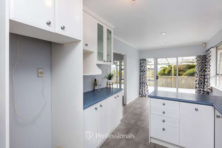 17 Sunnyview Drive Brown Owl_9