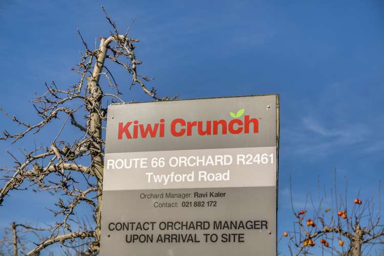 Kiwi Crunch Orchard Portfolio Twyford_15