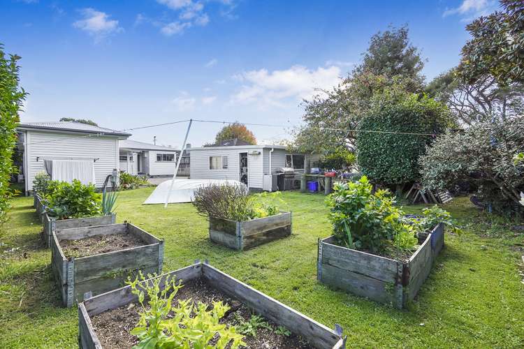 28 Young Street Claudelands_13