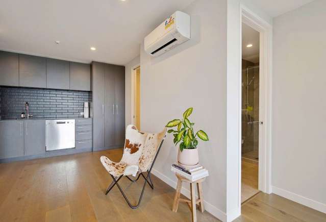 205/9 Walmer Road Point Chevalier_2