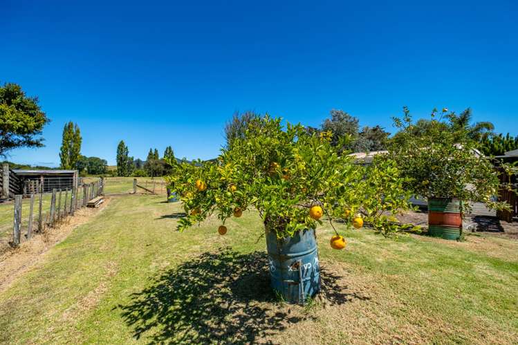 7045 State Highway 1 Kaitaia_43