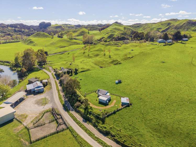 311 Kumuiti Road Fordell_15