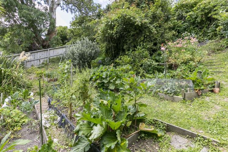 1c/20 Maarama Crescent Aro Valley_9