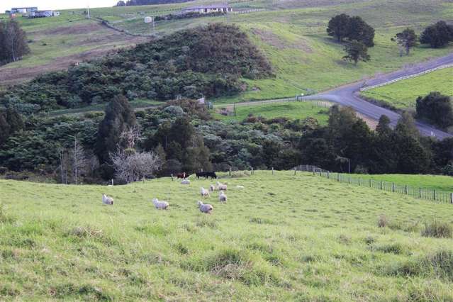 432 Prescott Road Ruakaka_4