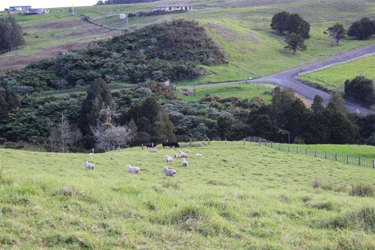 432 Prescott Road Ruakaka_4