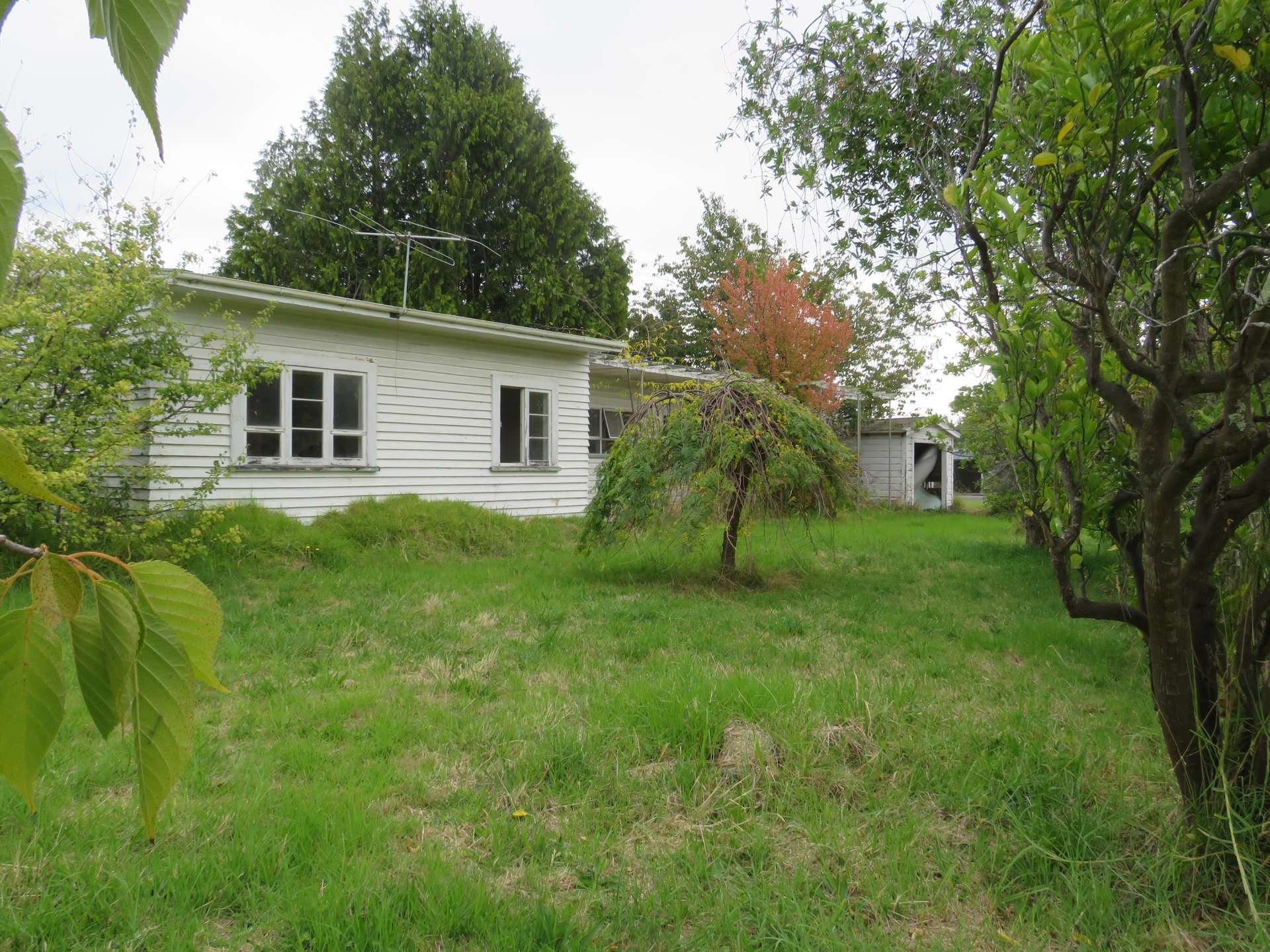 9 Colin Street Wairoa_0