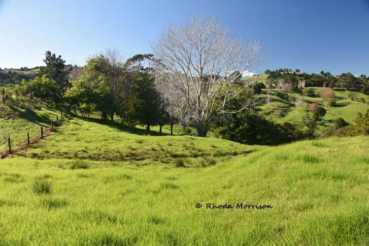 330 Franklin Road Paparoa_72
