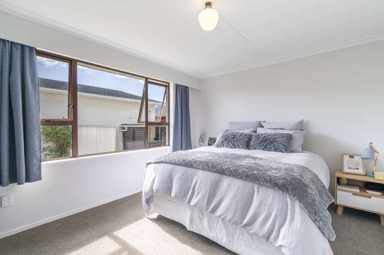 346 Herbert Street Windsor_9