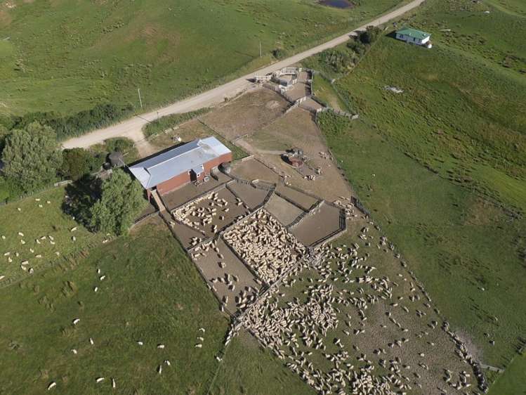 602 Esdaile Road Pongaroa_1