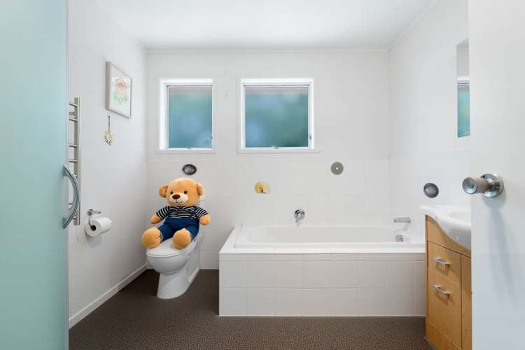 55 Terra Nova Street Glen Eden_12