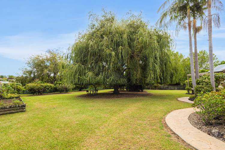 70 Whau Valley Road Whau Valley_22