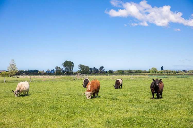 51 Tancreds Road Tai Tapu_32