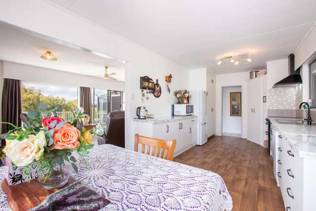 3A Allan Street Dannevirke_3