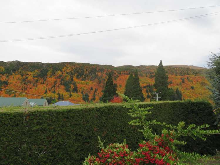 7 Kent Street Arrowtown_24