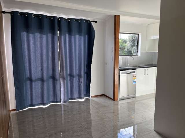 27A Stamford Park Road Mount Roskill_3