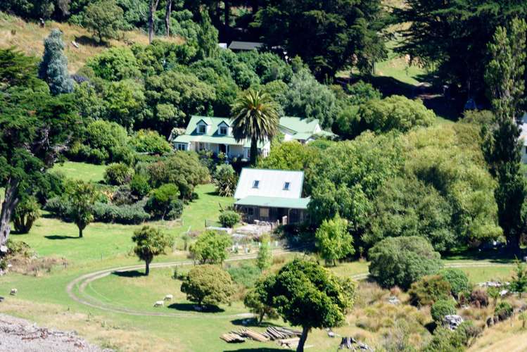 386 Decanter Bay Road Little Akaloa_6