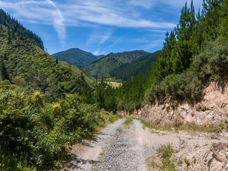 785 Waikakaho Road Tuamarina_34