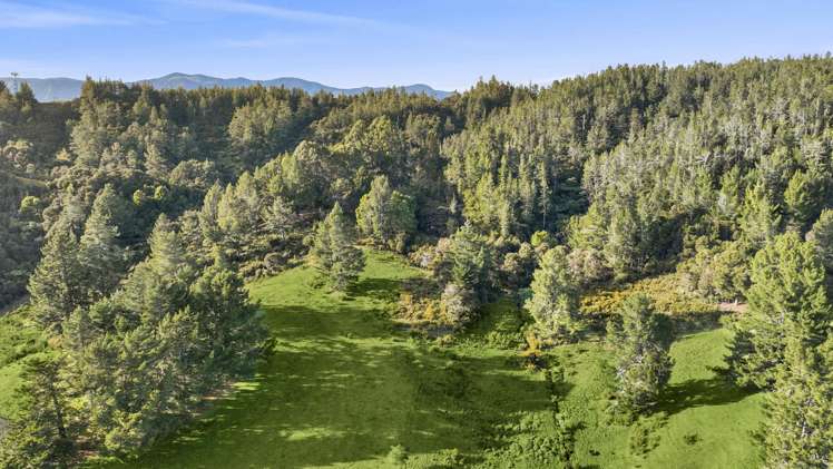 Takaka-Collingwood Highway Parapara_6