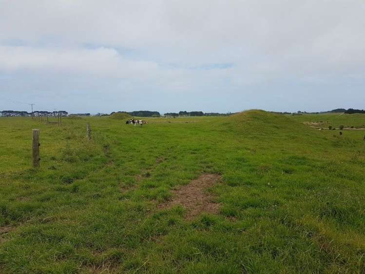 349 Ihaia Road Opunake_15