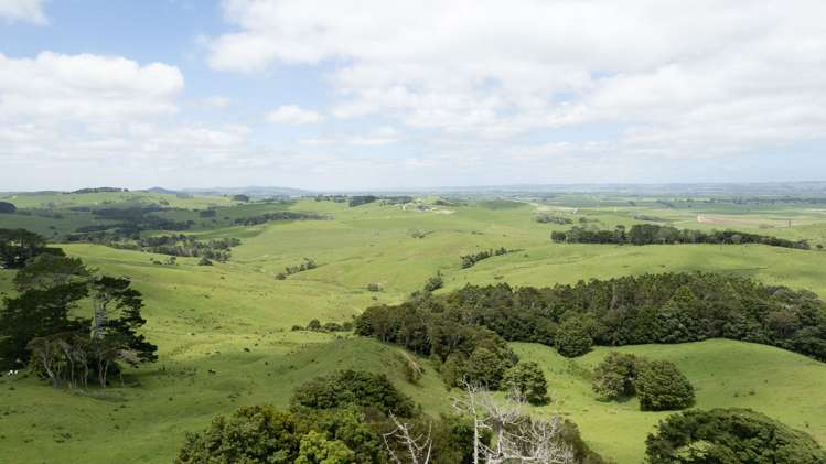 136 Simpkin Road Ruawai_18