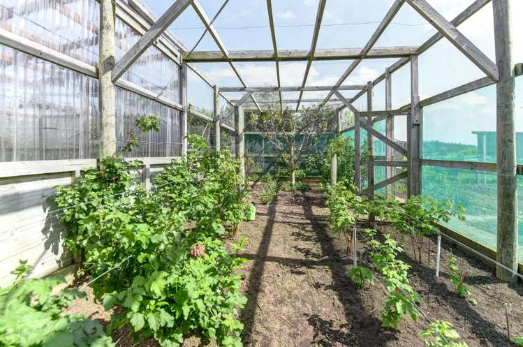 91 Bushy Park Road Kai Iwi_3