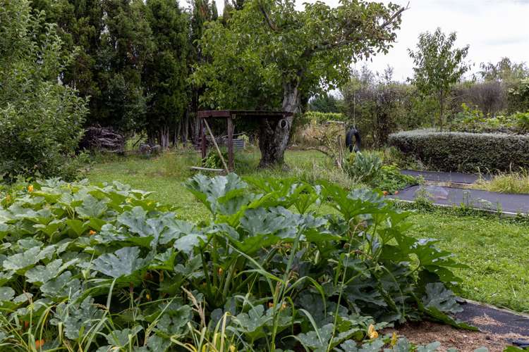 83 Vickerman Street Grovetown_15