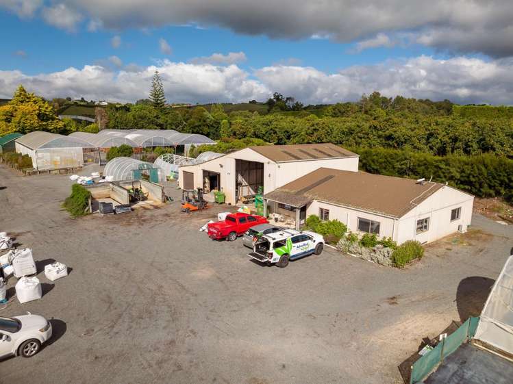 389 Old Highway Whakamarama_5