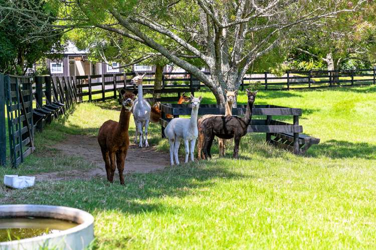 22b Clarke Road Te Puna_33