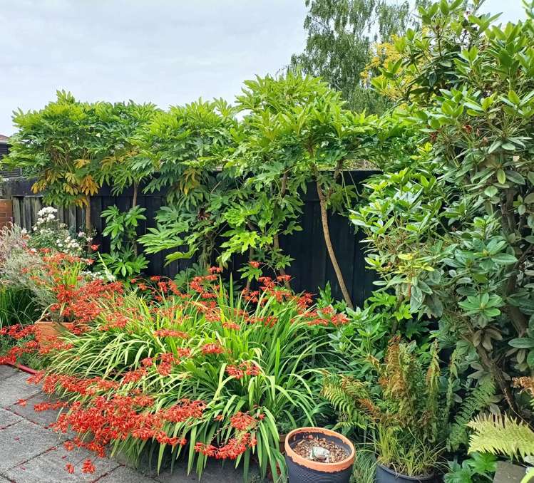 21 Dunrobin Place Avonhead_18