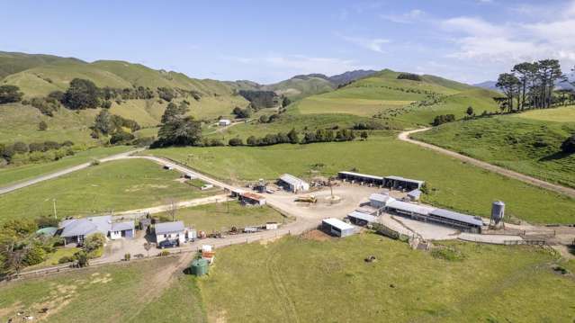 136 Falkner Road Eketahuna_2