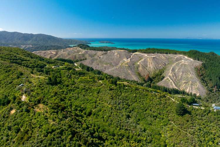 - Riwaka-Sandy Bay Road Riwaka_15