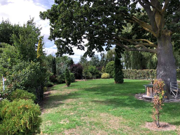 16 Conway Street Middlemarch_14