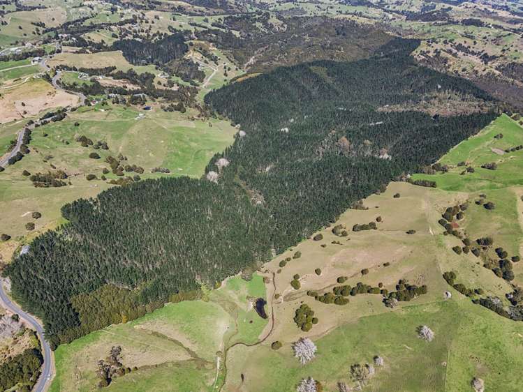 2458 Paparoa-Oakleigh Road Maungaturoto_2