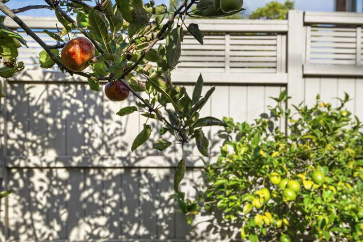 1/33 Eversleigh Road Belmont_19