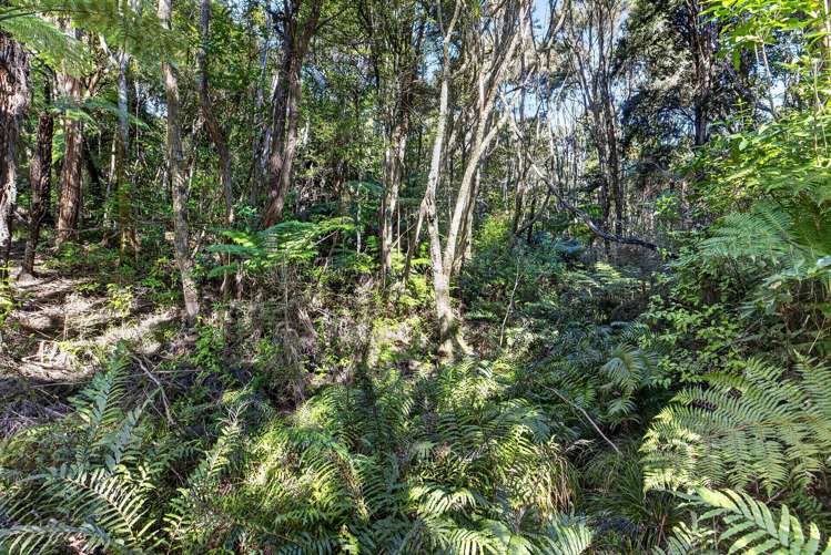 106 Te Henga Road Waitakere_8