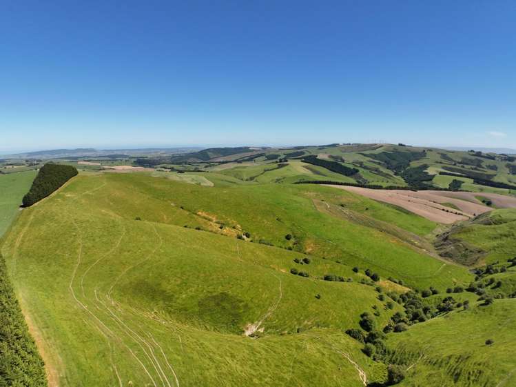 1916 Manuka Gorge Road_0