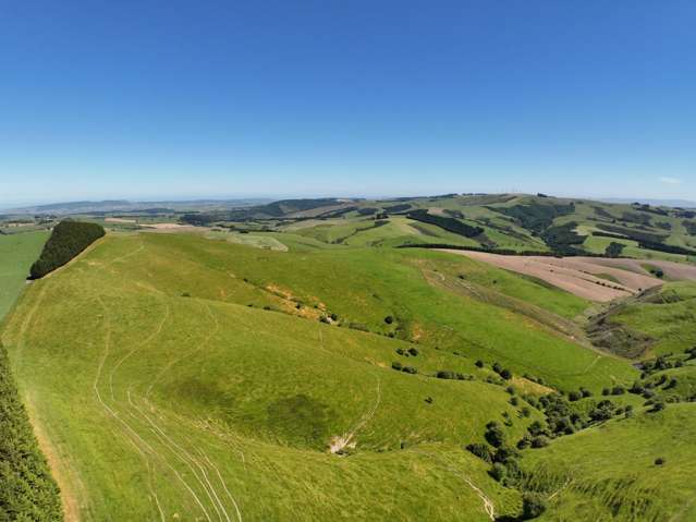 South Otago Bare Land Opportunity