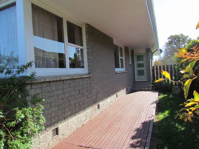 114 George Street Tinwald_3