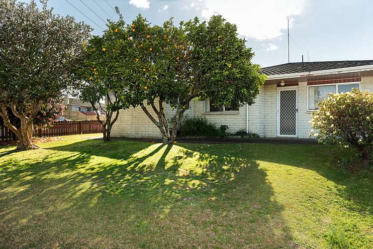 3c Dunlop Road Te Puke_12