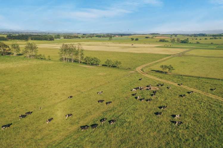 Timaru-Pleasant Point Highway Timaru Surrounds_12