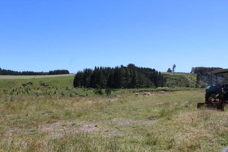 1796 Te Matai Road Te Ranga_24
